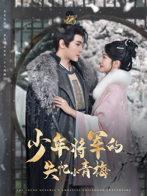 少年将军的失忆小青梅（100集）推荐你们也去看