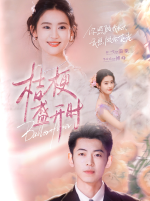 她的小桔梗（92集）每日短剧追不停