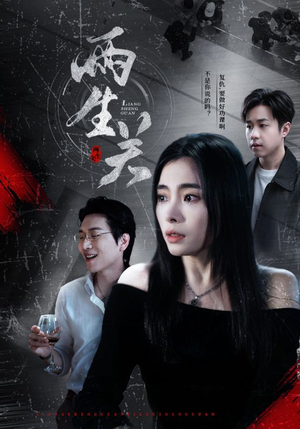 两生关（40集）精彩好看短剧