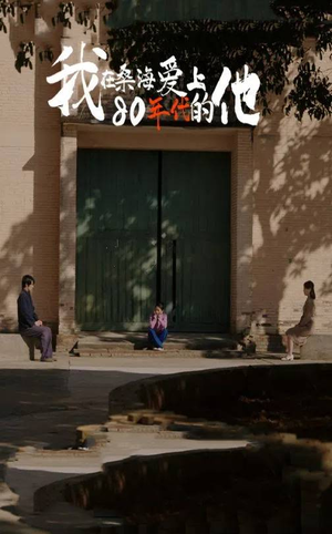 我在桑海爱上80年代的他（60集）海量资源免费看