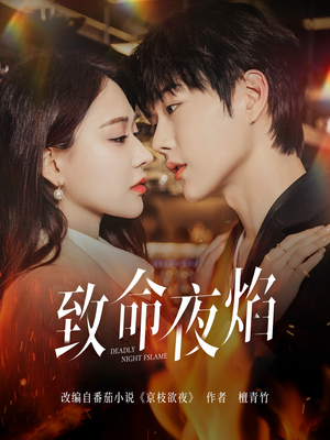 致命夜焰（80集）全集免费