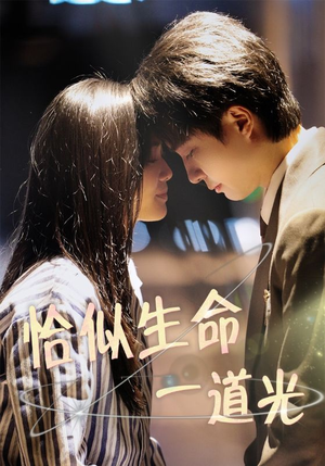 恰似生命一道光（60集） 短剧追到爽