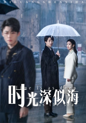 时光深似海（35集） 热门短剧推广