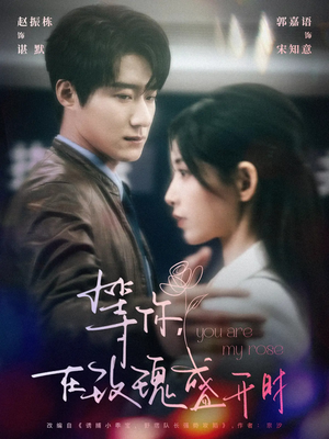 等你在玫瑰盛开时（80集） 短剧演员排行榜