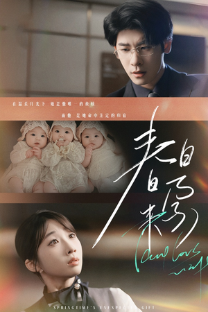 春日来孕（60集） 热门火爆短剧