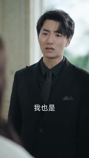 归来星光依旧（65集） 全集在线看