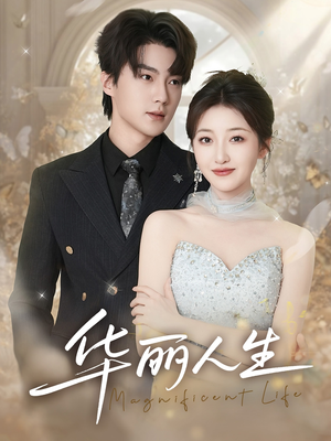 华丽人生（60集）百度在线观看