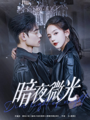 暗夜微光（86集）精彩短剧免费看