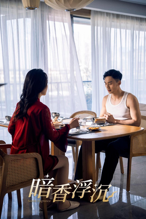 暗香浮沉（51集）1-102集