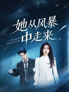 她从风暴中走来（60集）最火的短剧