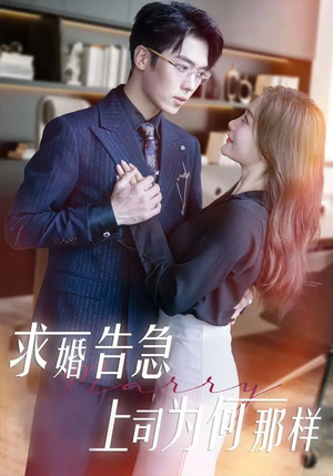 求婚告急上司为何那样（70集） 短剧片段推荐