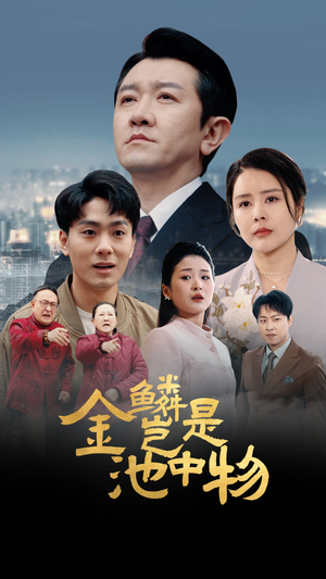 金鳞岂是池中物（61集）精彩热门短剧