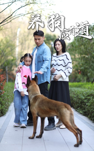 养狗应有道（60集）上热门短剧