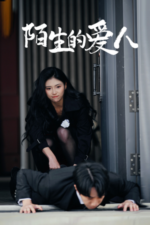 陌生的爱人（60集）无需充值尽情看