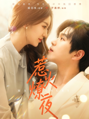 惹火燎夜（74集）免费短剧资源