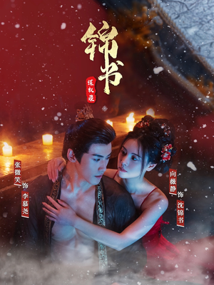 锦书谋权录（70集）高分推荐免费看