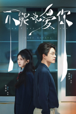 不能说爱你（64集）在线播放