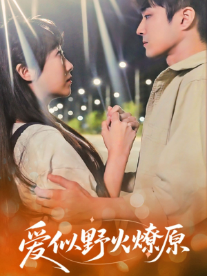 爱似野火燎原（47集）短剧免费看
