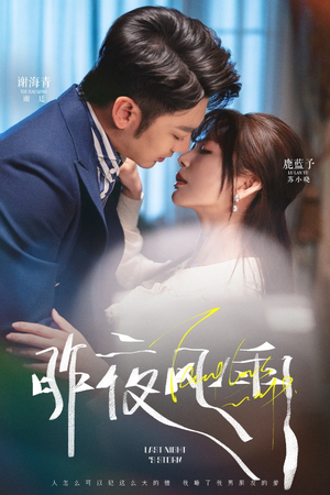 昨夜风雨（63集）火爆短剧抢先看