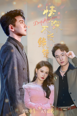 情深不抵缘错（60集）短剧在线更新