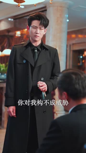 私藏（78集）超好看的短剧