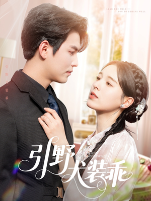 引野犬装乖（61集）女主谁演的