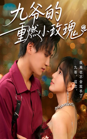 九爷的重燃小玫瑰（67集）短剧在线看