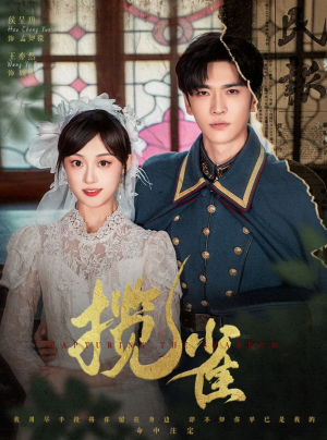 揽雀（61集）最后的大结局