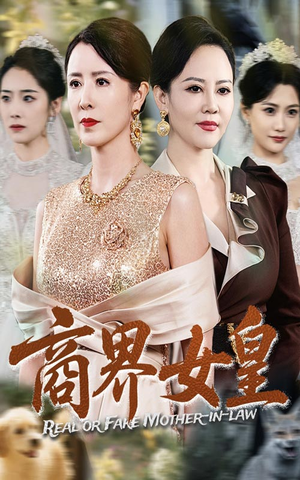 商界女皇（70集）免费看