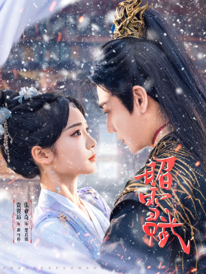 昭雪赋（61集）一共多少集