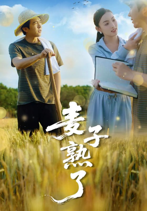 麦子熟了（52集）短剧全集大结局