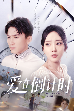 爱在倒计时(30集) 爱在倒计时(30集)最后一集