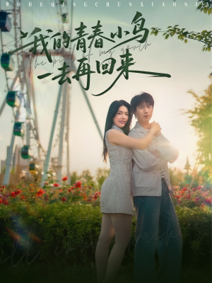 我的青春小鸟一去再回来（95集）在线免费观影