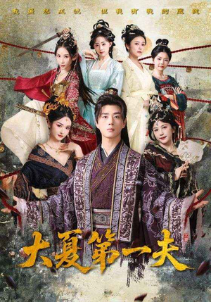 大夏第一夫（90集）热门火爆短剧