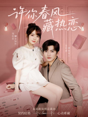 许你春风藏热恋 （79集）精彩的网络短剧