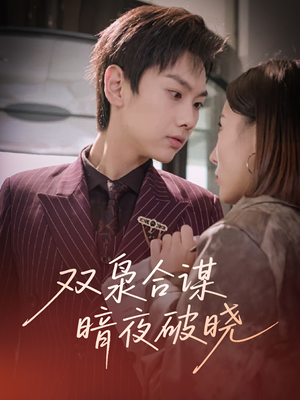 双枭合谋暗夜破晓(30集) 双枭合谋暗夜破晓(30集)看到大结局