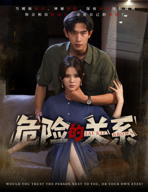 危险的关系（55集）全集在线看