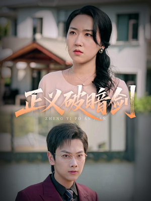 正义破暗剑（31集）全部免费看全集