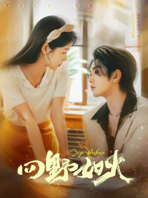 四野如火（79集）怎么看全集