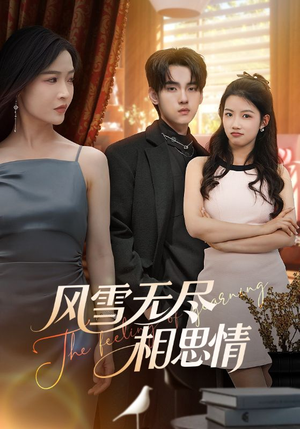 风雪无尽相思情（61集）免费版