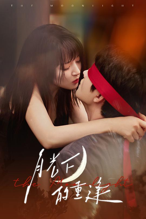 月光下的重逢（54集）精彩短剧追不停