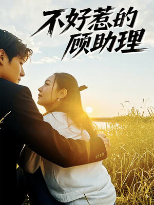 不好惹的顾助理（67集）视频在线看