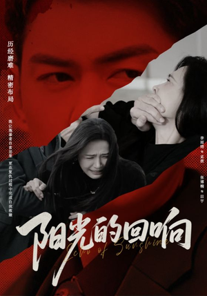 阳光的回响（50集）热播短剧全集看