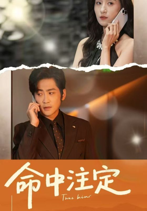 命中注定（33集）短剧分享剧集