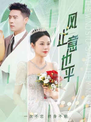 风止意也平（41集）最新火爆短剧