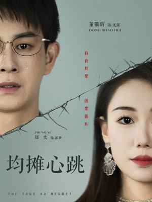 均摊心跳（30集）全集