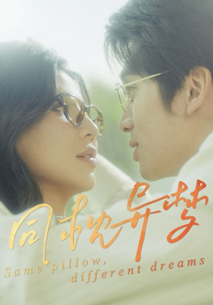 同枕异梦（50集）评价怎么样