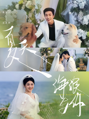 夏天，海浪与你（76集）分享好看的短剧