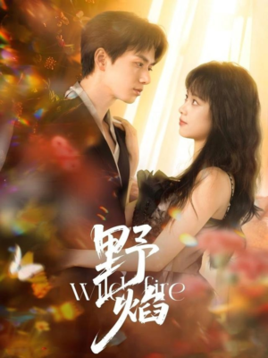 野焰（60集）在线观看