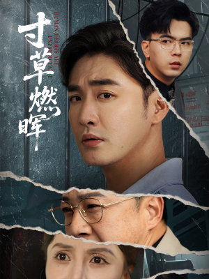 寸草燃晖(70集) 寸草燃晖(70集)常回家看看短剧